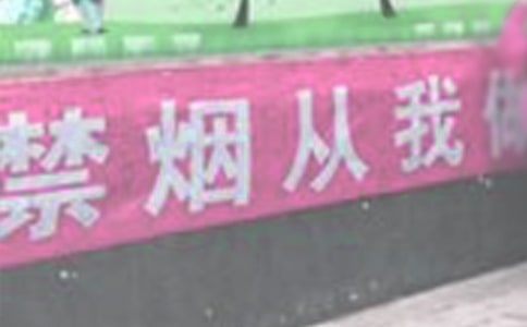 �������h����ƪ