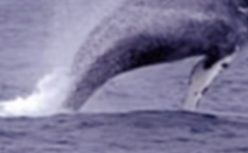 �����(chu��ng)�����g(sh��)��Ӈ�ˮ�Ĵ��L�~�̰�