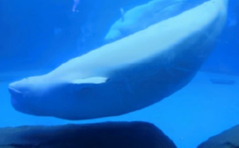 ���o(h��)�L�~����