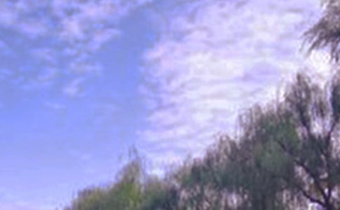 �����ɫ�ă�(y��u)�����ģ����x25ƪ��