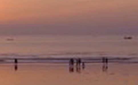 翠湖公園的景色優(yōu)秀作文(通用5篇)