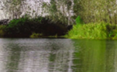 小學(xué)生景色作文400字六篇