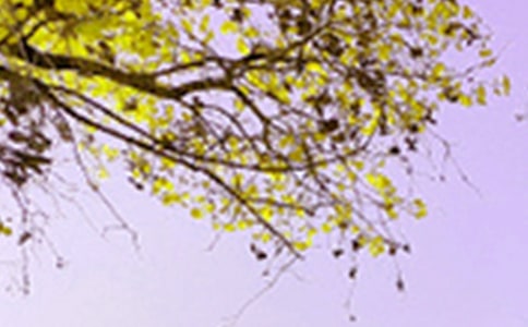 �Ϻ����@��ɫ�ă�(y��u)�����ģ����x10ƪ��