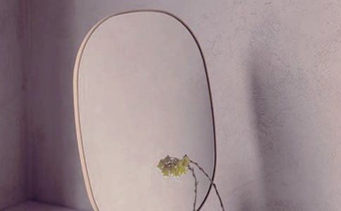 照鏡子作文(精選121篇)