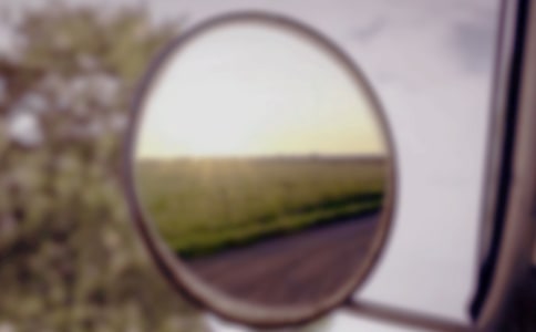 樹(shù)一面鏡子照自己