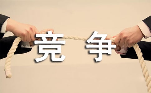 競爭情報(bào)分會工作總結(jié)