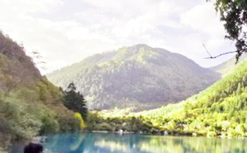 九寨溝旅游作文(通用56篇)