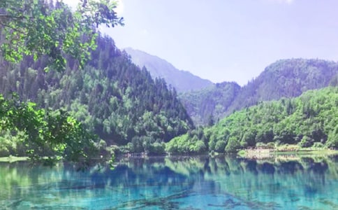 九寨溝的鏡海作文