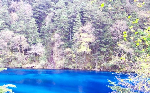 �P(gu��n)�ھ�կ�ϵľ�ɫ��(y��u)������35ƪ