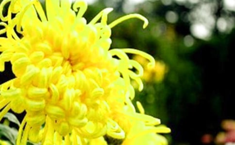 ��Ԋ���ף����Ϫ������� �ջ���