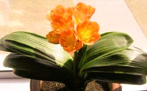 �������m�ă�(y��u)�����ģ����x42ƪ��