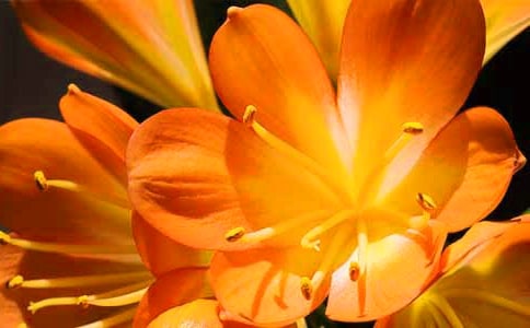 �����m���ļ���15ƪ