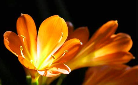 �������m������(9ƪ)