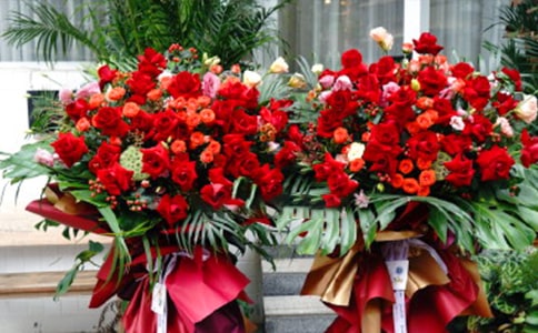 �µ��_�������Z