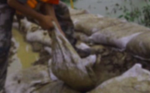 2021年防汛抗洪的工作總結(jié)(精選6篇)