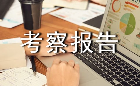 【實用】外出考察報告模板