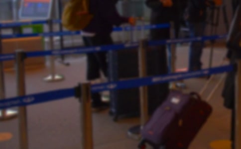 ���\�Ό��������ƪ