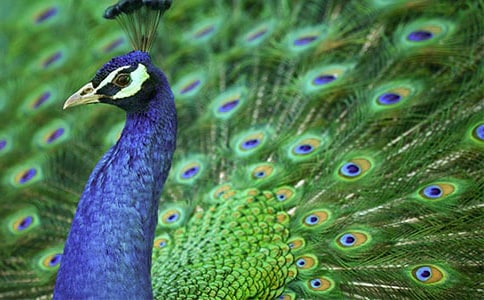 ����ȸ�|���w�����򣩡�.ʾ��.