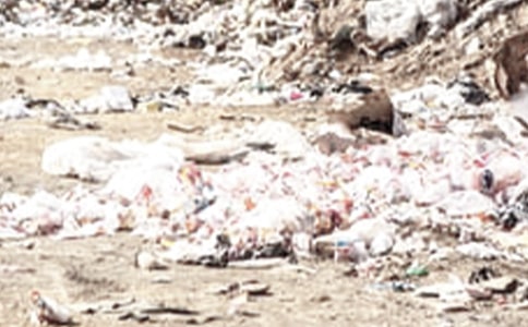 �h�r(n��ng)���������ι�����r�R��(b��o) 