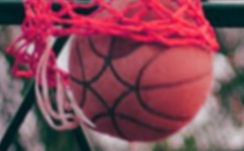 籃球社工作總結(jié)