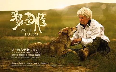 狼圖騰小狼作文