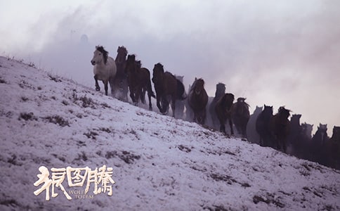 狼圖騰經(jīng)典段落