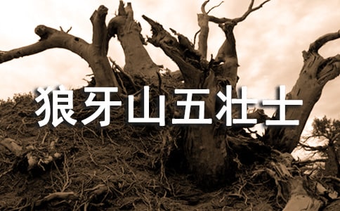 15������ɽ���ʿ��