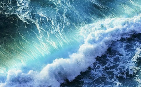 一朵美麗的浪花作文(精選31篇)