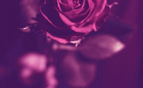 有趣搞笑感人浪漫情書