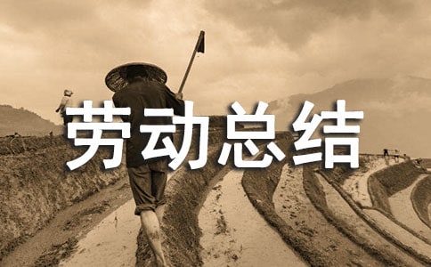 勞動(dòng)周個(gè)人勞動(dòng)總結(jié)