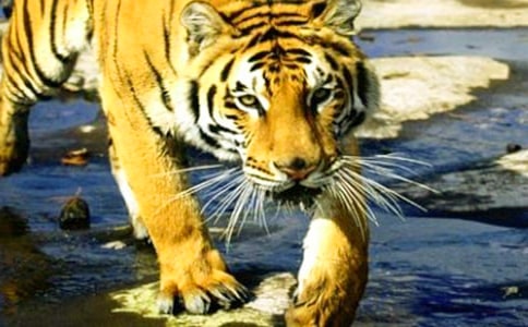 ���o�ϻ�����