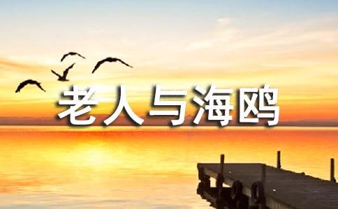 �����c���t�̌W(xu��)�O(sh��)Ӌ