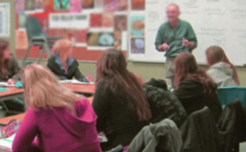 老師,我想對(duì)您說作文800字