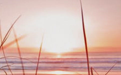 �����������ģ�ͨ��43ƪ��