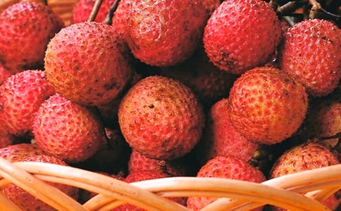 《南州六月荔枝丹》詩文資料