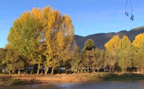 ��ý�w�����ϒ��ɲ��������������ϑc������������