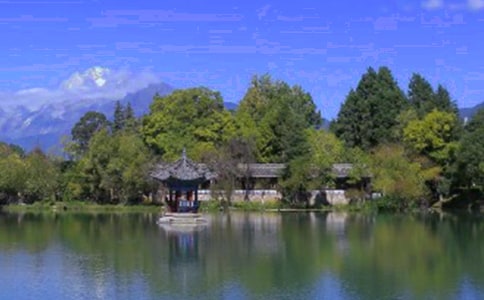 �����������ų�����