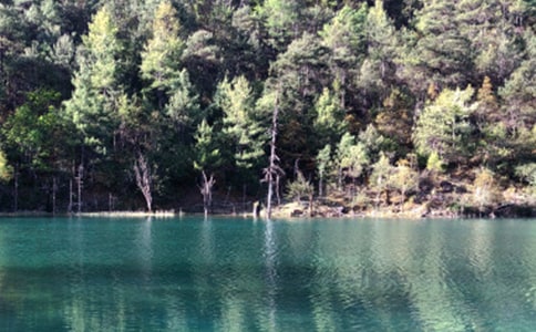 ����ӡ������