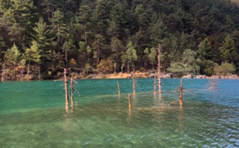 ������ӛ����