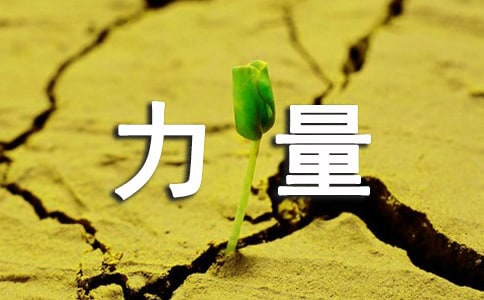 ��ȫ�潨�O(sh��)С������ṩ��������Փָ��(d��o)��ݛՓ����