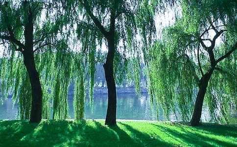 ���x��������(sh��)�ľ���22�l