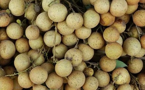 �Ґۼ��l(xi��ng)����������