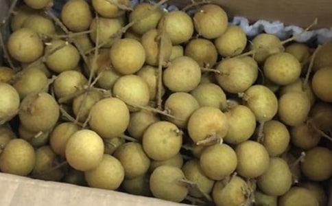 �茑���ۘ�ă�(y��u)������