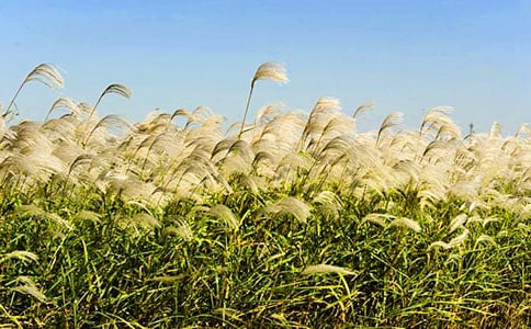 ������g(sh��)�̰���������JȔ��������˼