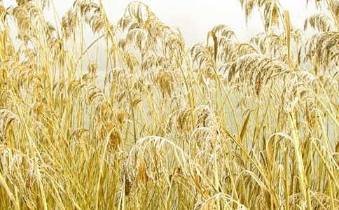 �����һ����˼���ȵ��JȔ����