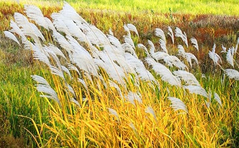 �L(f��ng)�е��JȔ