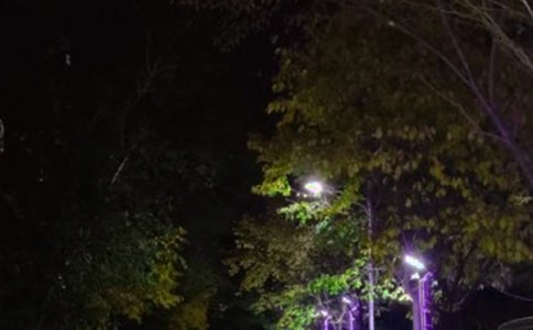 路燈照明系統(tǒng)中的組群控制器設計與實現(xiàn)