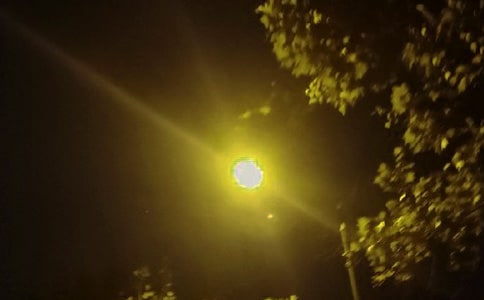 ·�����꼉����