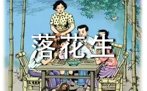 小學(xué)四年級(jí)語文《落花生》教案