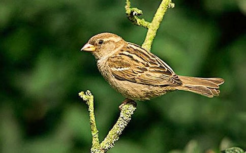 �P(gu��n)����ȸ����